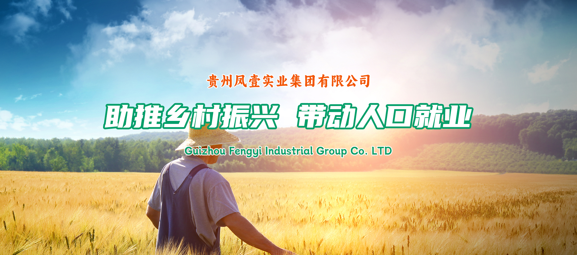 贵州凤壹实业集团有限公司